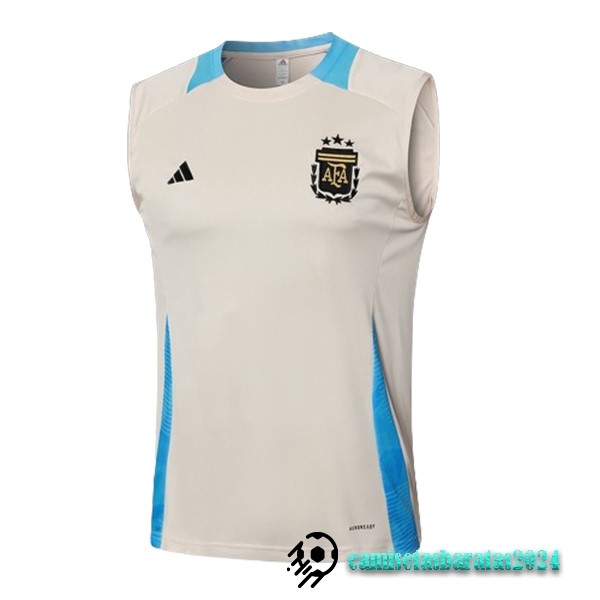 Replicas Entrenamiento Sin Mangas Argentina 2024 Amarillo Azul